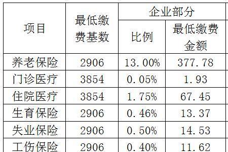 农村社保怎么缴费湖北