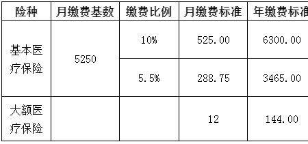 德州灵活就业人员缴费标准