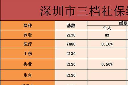 社保在公司挂户可以自己缴费吗