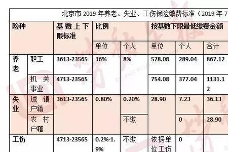 社保基数总额是什么意思