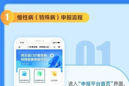 河北医保网上申报流程