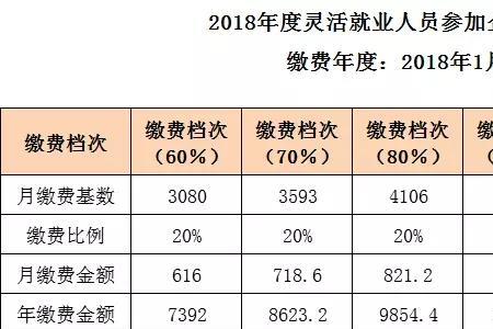 江西灵活就业人员社保缴费标准