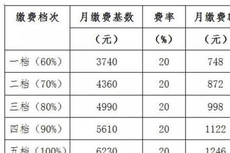 2022年西安市社保缴费标准