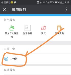 哈尔滨社保怎么查不到信息了