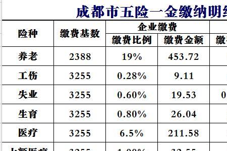 连云港城乡居民社保如何补缴