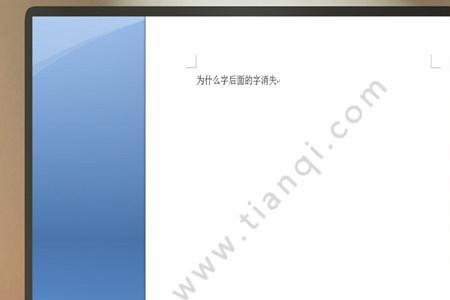 为什么打字后后面字会消失
