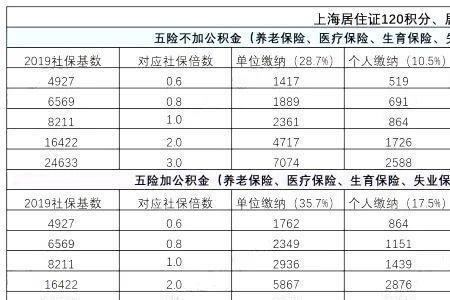 上海在读大学生怎么用社保