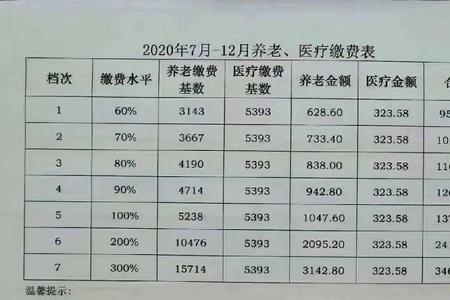 四川社保缴费价目表