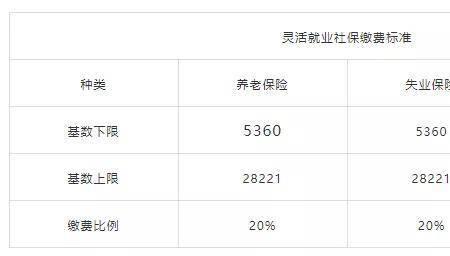 社保缴费类型1与10有什么区别