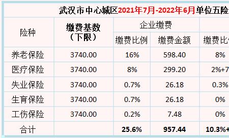 个人在武汉缴纳社保包含哪些