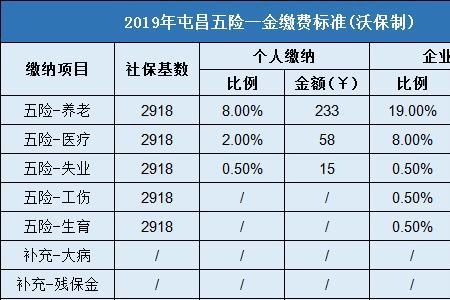 在上海续缴社保每月需多少钱