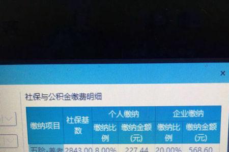 社保要交800一个月吗