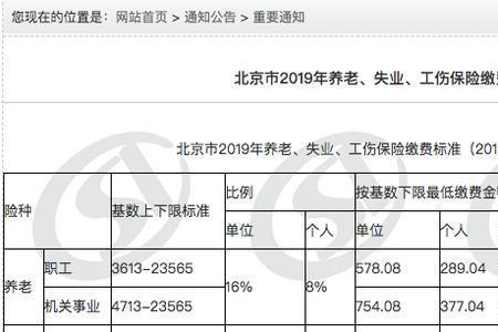 养老保险指数怎么查