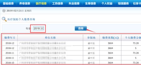 在网怎样查医保缴费清单