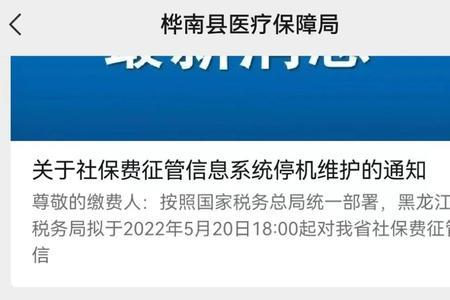 2022医保网上缴了费怎么查