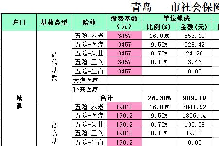 2031年社保个人缴纳多少