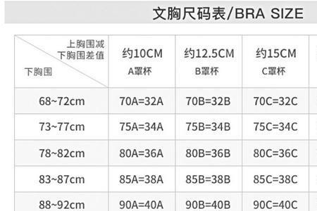 罩杯用字母简称怎么说