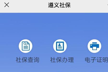 为什么社保查询里只有医疗保险