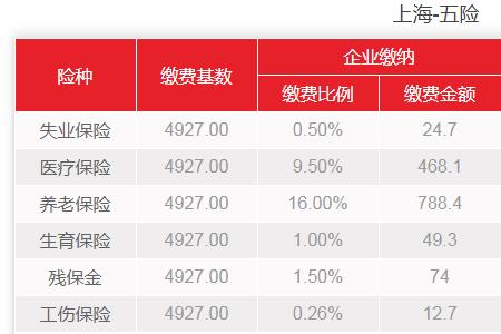 2002年上海社保最低缴费标准