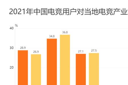 不同年龄段对电竞行业的看法