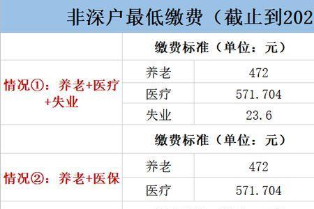 社保一个月最低是多少