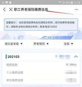 养老APP怎么查公司缴纳的金额