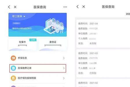 医保自己缴费怎么查不到