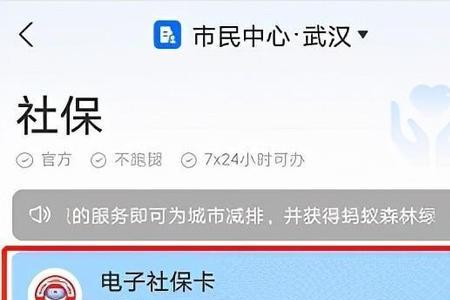 湖北电子医疗卡怎么查