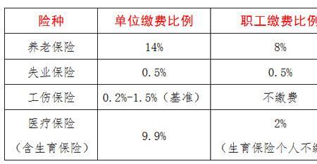 大连大龄灵活就业有哪些政策