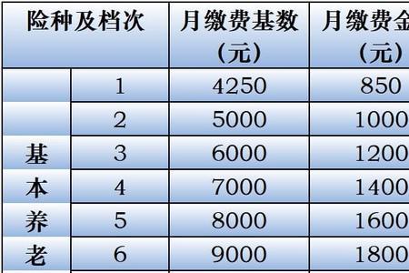 个体户社保16年补齐20年哪种划算