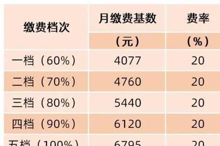 武汉2023灵活就业社保缴费标准