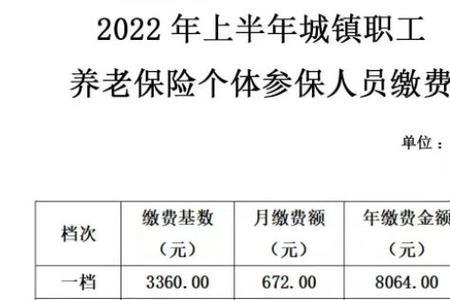 湖北养老保险缴费标准