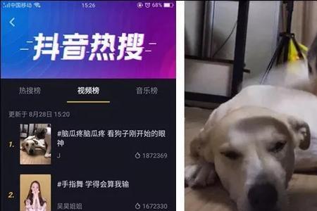 抖音与YY有什么区别