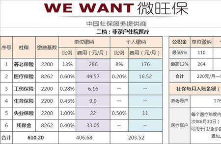 社保个人账户和对公账户比例