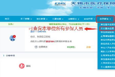 单位怎么查询企业医保明细