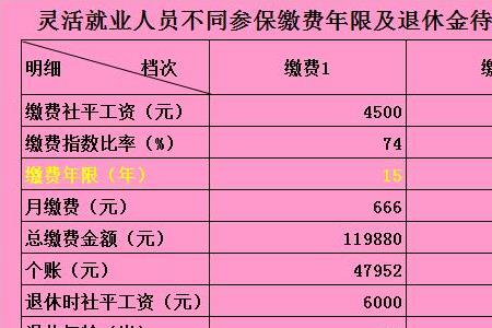 女人41还可以买社保吗