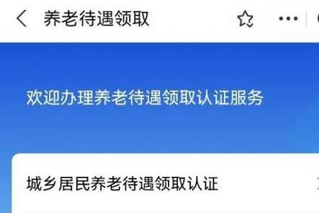 河南高龄津贴网上认证流程