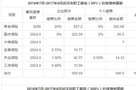 武汉社保医保价格表