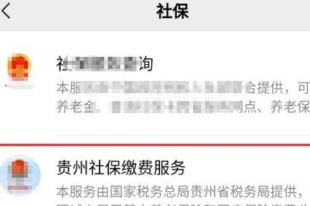 贵州社保app在苹果手机无法安装