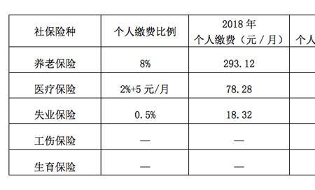 年度缴费基数是什么意思