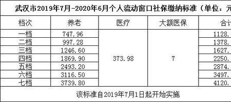 单位给缴纳五险要怎么查询