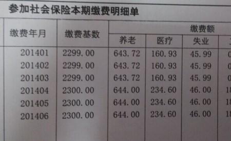 什么项目需要社保流水