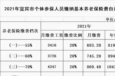 养老保险一年交2000是什么档次