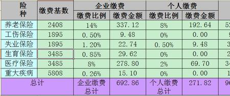 社保缴纳基数245是什么意思