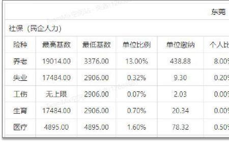 东莞社保查询怎么不显示利息了