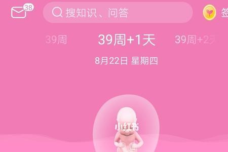 8月28号什么时候预产期