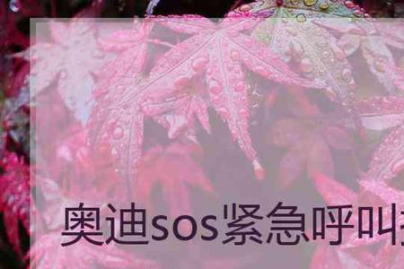 sos出现故障是什么原因