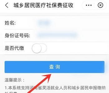 查询新农合下载什么app