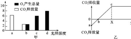 光照强度对植物有哪些影响