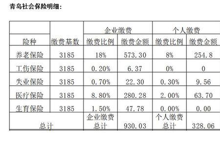 社保缴纳方式怎么填写